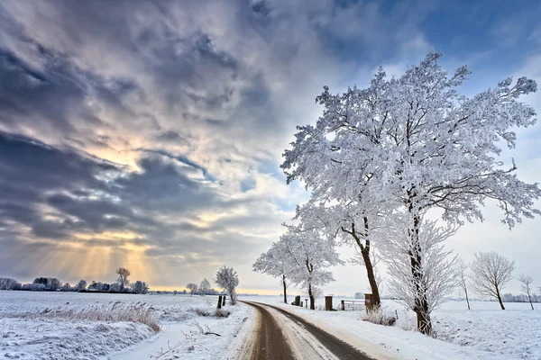Paisaje nublado en un paisaje blanco de invierno —  Fotos de Stock