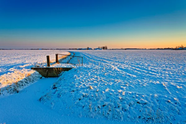 Закат на лугу зимой — стоковое фото