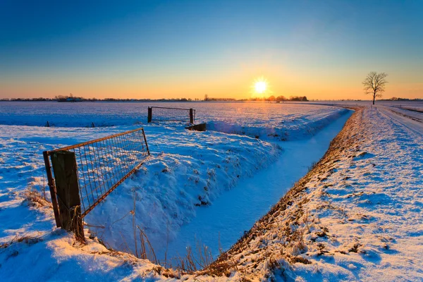 Pôr do sol e cerca com prados no inverno — Fotografia de Stock