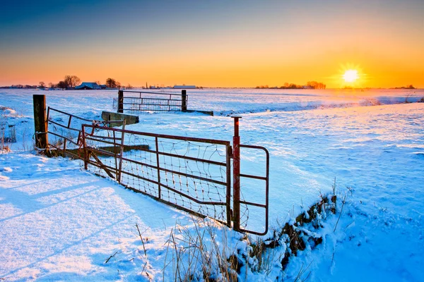 Pôr do sol e cerca com prados no inverno — Fotografia de Stock