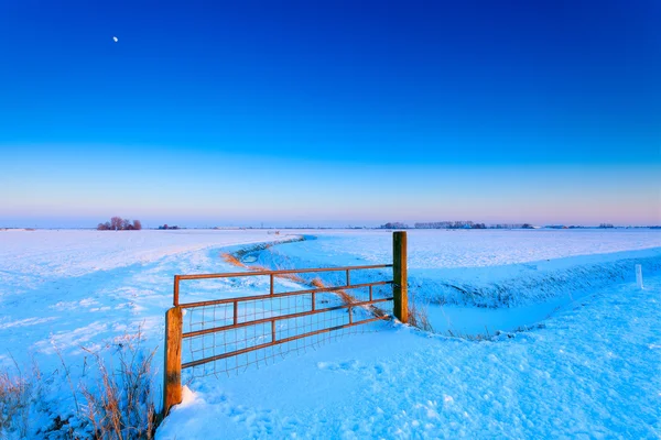 Забор на лугу зимой — стоковое фото
