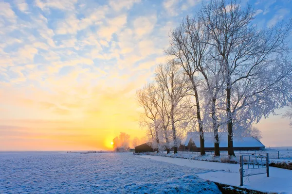Зимовий пейзаж на заході сонця Стокова Картинка