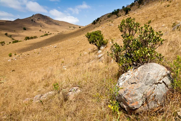 Lado de la montaña rocosa con árboles — Foto de Stock