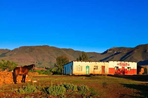 Деревенский магазин и лошадь в горах — стоковое фото