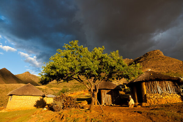 Houses in beautiful light