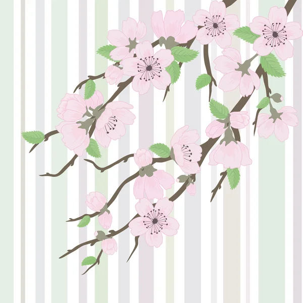 Vektor Sakura Zweig mit Blumen — Stockvektor