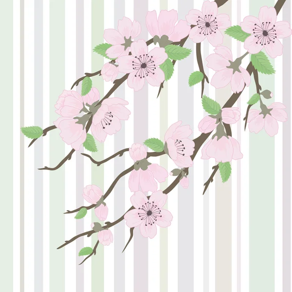 Vector sakura tak met bloemen — Stockvector