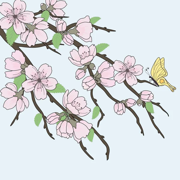 Ramo vettoriale di sakura con fiori — Vettoriale Stock