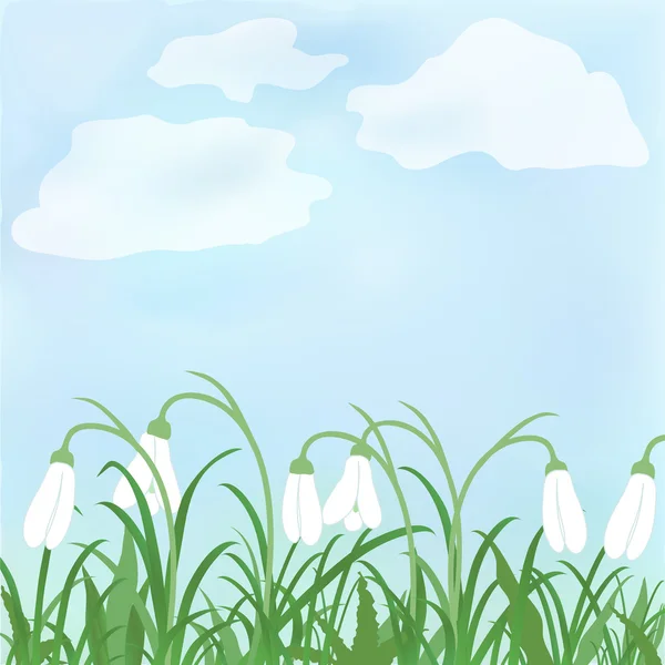 Sněženka jarní květiny proti obloze — Stock fotografie