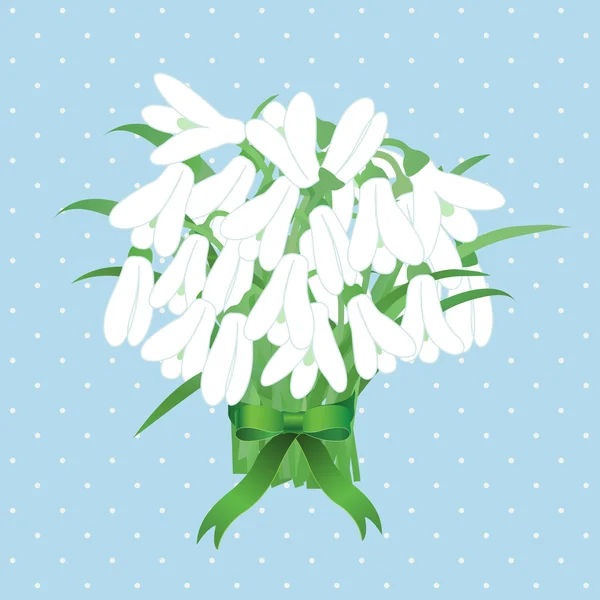 Våren snowdrop blommor med grönt band — Stockfoto