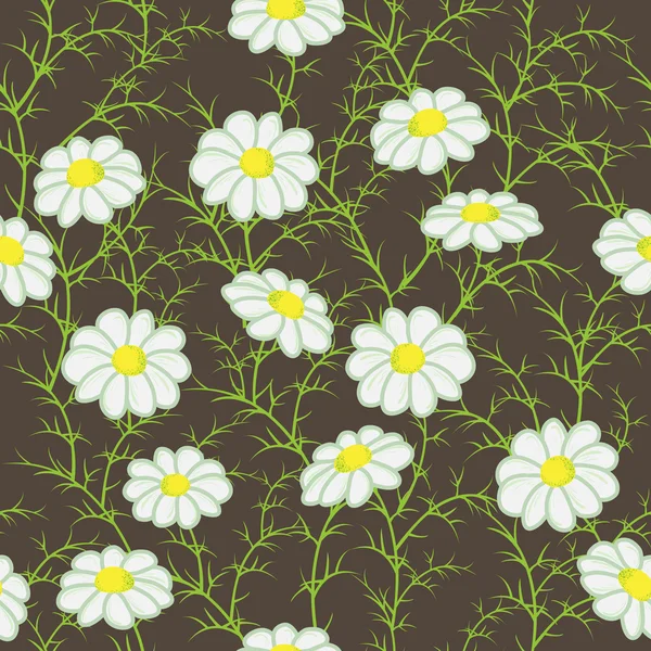 Patrón floral con manzanillas —  Fotos de Stock