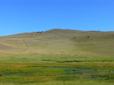 Baykal bozkır