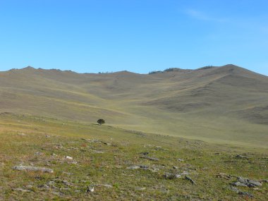 Baykal bozkır