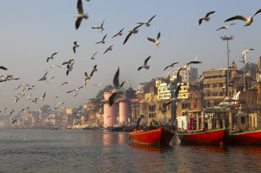 varanasi kutsal Ganj Nehri, martılar sabah. Hindistan