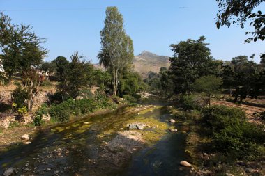 nehir ve rajasthan, Kuzey Hindistan, Asya'nın yemyeşil orman