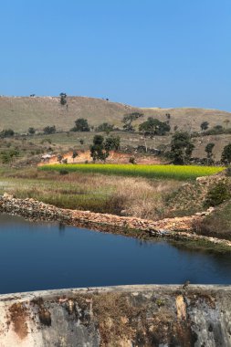 Göl Rajasthan, Kuzey Hindistan.