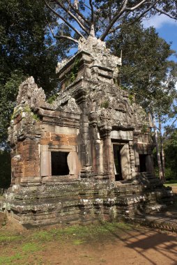 tempelsite angkor, eski Tapınağı'de orman