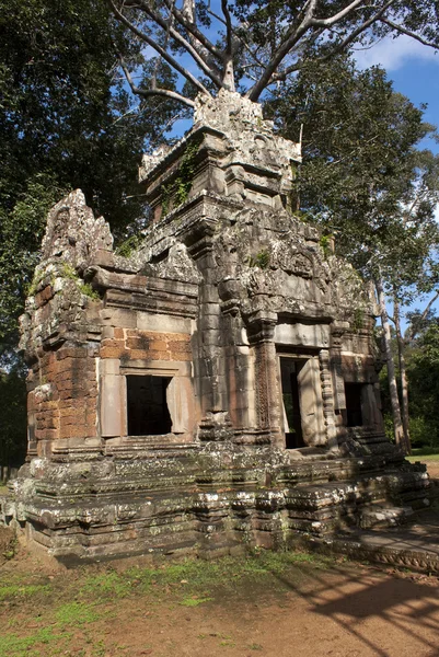 Tempelsite アンコール ・ デ ・ ジャングルの中で古い寺院 — ストック写真