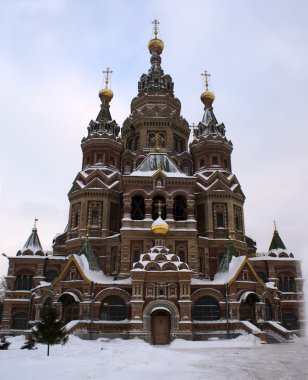 Kışın kar (peterhof (st. peters ile Aziz peter ve paul Kilisesi