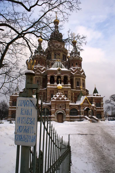 겨울 눈 (peterhof (세인트 피터 스와 세인트 피터와 폴 교회 — 스톡 사진
