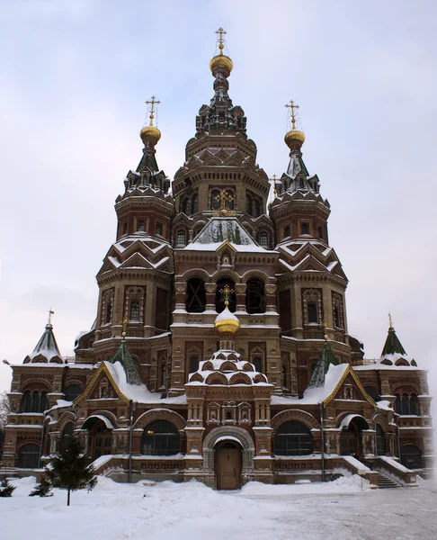 St. Peter and Paul Church in the wintertime with snow (Peterhof (St. Peters — Stock Photo, Image
