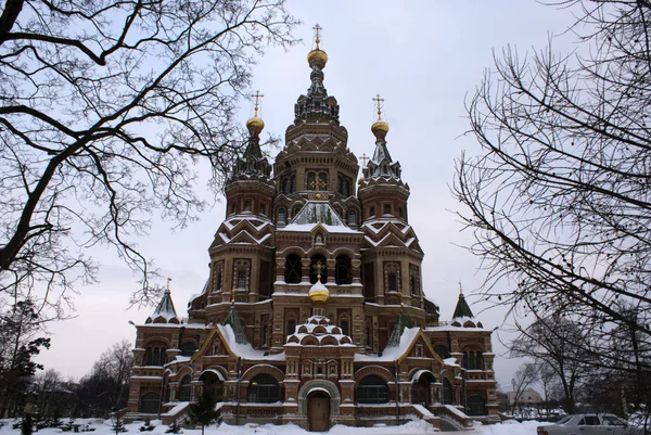 Chiesa di San Pietro e Paolo in inverno con neve (Peterhof (San Pietro) — Foto Stock