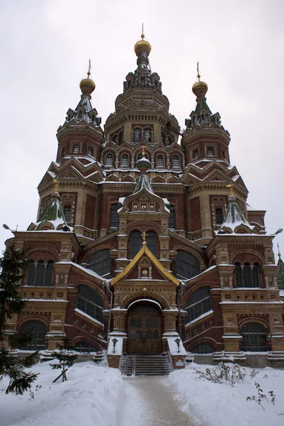 St. Peter- und Paulskirche im schneereichen Winter (Peterhof) — Stockfoto