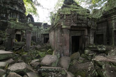 Angkor - kalıntıları içinde ta prohm Manastırı - Arkeolojik Sit bir