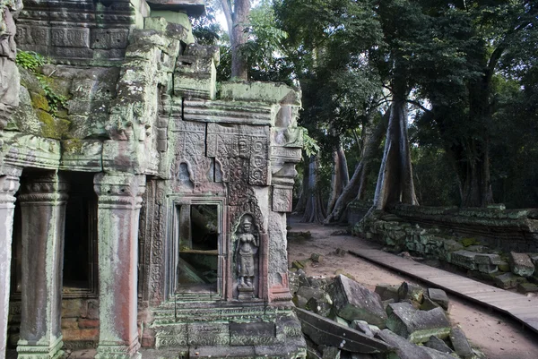 Angkor - Pintu masuk wihara Ta Prohm - Situs arkeologi Angkor di Kamboja — Stok Foto