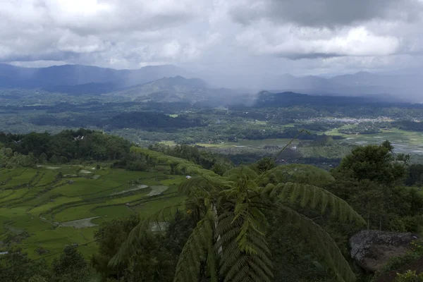Pagórkowaty krajobraz tana toraja w sulawesi, Indonezja — Zdjęcie stockowe