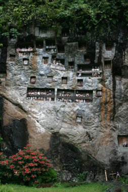 Bir mezar içinde Tau tau mağara (mezar) Kenneth'in - Tana Toraja - Sulawesi - Indones