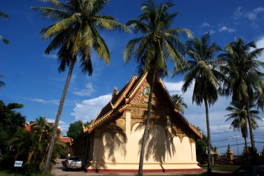 Vientiane - laos palmiye ağaçları ile Lao Manastırı