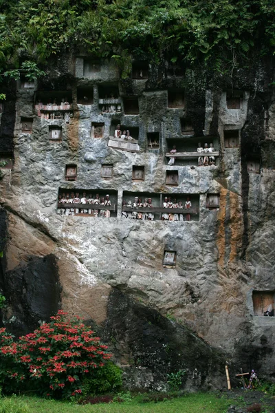Bir mezar içinde Tau tau mağara (mezar) Kenneth'in - Tana Toraja - Sulawesi - Indones — Stok fotoğraf