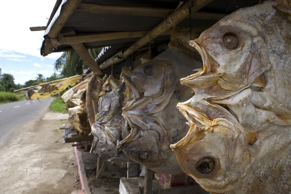 Pesce essiccato in vendita in Indonesia - Sud-est asiatico — Foto Stock