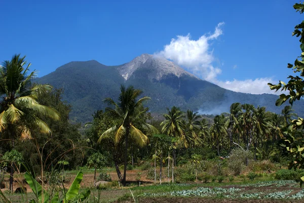 Witte wolken boven een vulcano naast Maumere in Flores (Indonesië) — Stockfoto