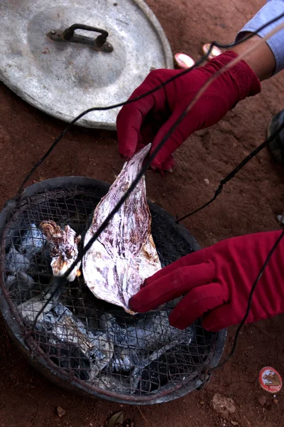 Grilling dried squid in Laos — Stock Photo, Image