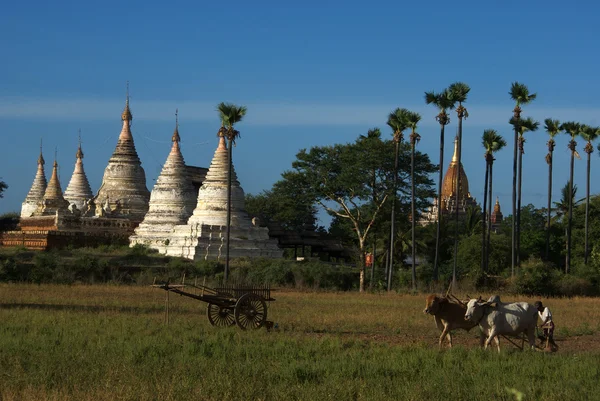 Tempels van Bagan in Myanmar (Birma) — Stockfoto