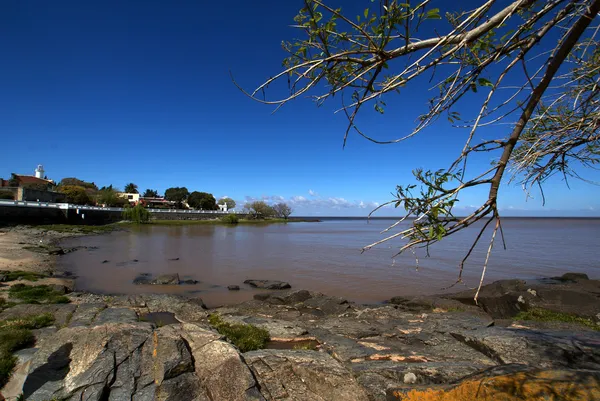 Річки Ріо-де-ла-плата, в колонія-дель-Сакраменто - Уругвай Ліцензійні Стокові Зображення