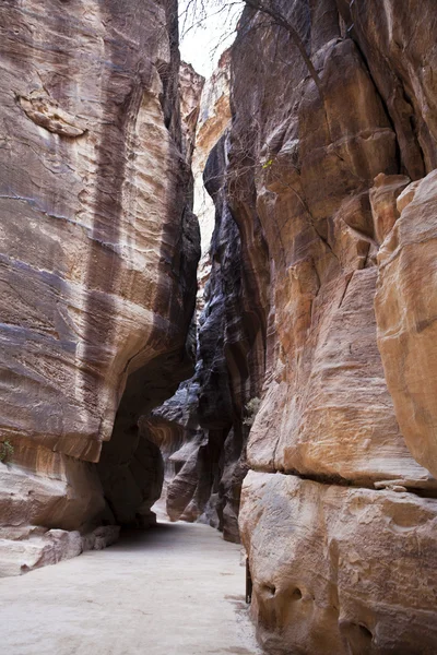 Infarten till petra - siq - vägen genom klipporna - Jordanien — Stockfoto