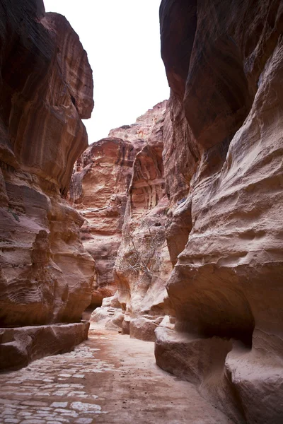 Entrada de Petra - El Siq - el camino a través de las rocas - Jordania —  Fotos de Stock