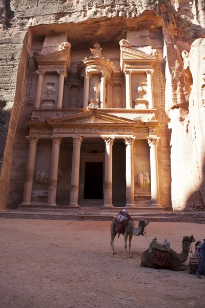 Die Schatzkammer mit kamelen in petra - der berühmte tempel der indiana jones in jordan — Stockfoto