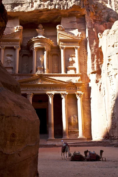 ペトラ - ヨルダンで有名な寺のインディアナ ・ ジョーンズのラクダと財務省 — ストック写真
