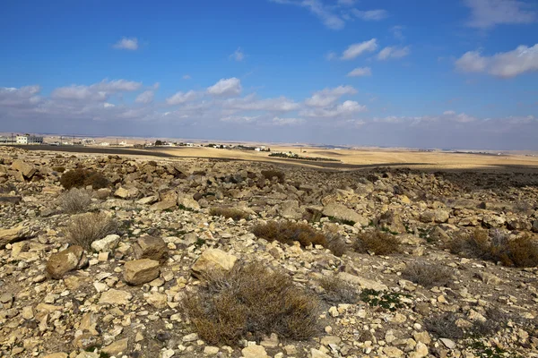 Stone desert in Umm Ar-Rasas in Jordan — Stock Photo, Image