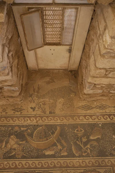 Mozaik az um Ar Rasas - Jordan - Közel-Kelet — Stock Fotó