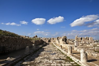 RUINS OF THE UMAYYAD PALACE - CITADEL - AMMAN - JORDAN clipart