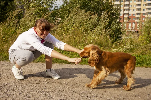 犬の運動 — ストック写真
