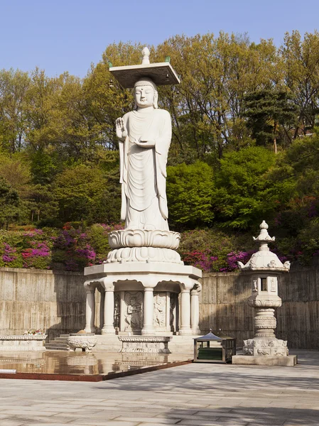 Buddha v chrámu Bongeun-sa — Stock fotografie