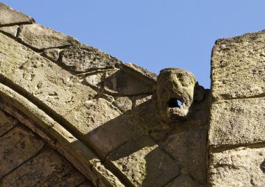 Waterspout Gargoyle In Abbey clipart