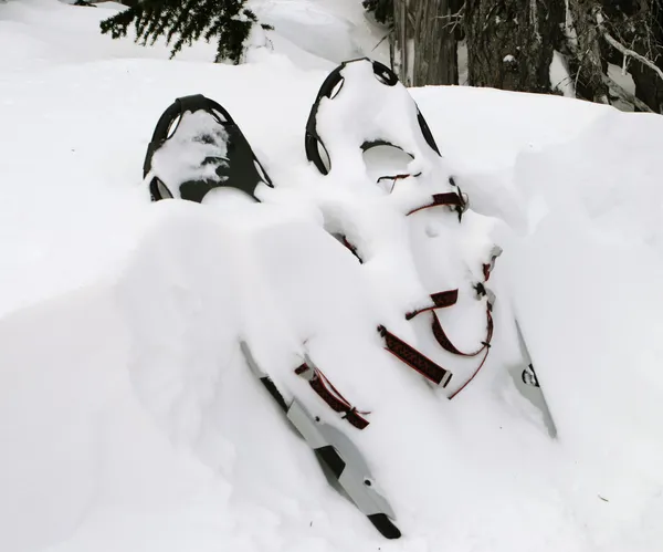 stock image Pair Of Snowshoes