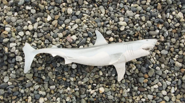 Leksak haj på stranden — Stockfoto